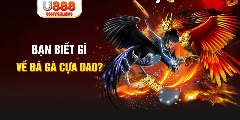 k899x SW Xổ Số