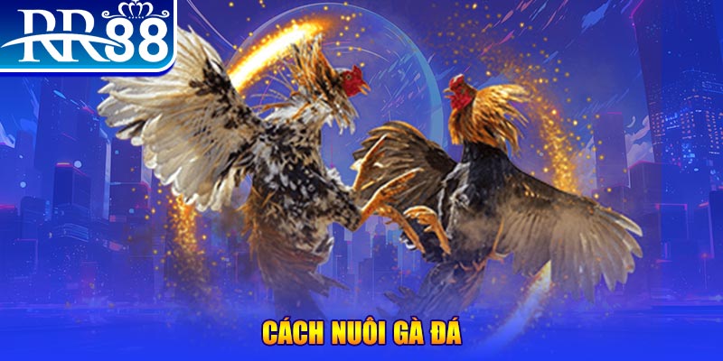 k899x đăng nhập phỏm đổi thưởng