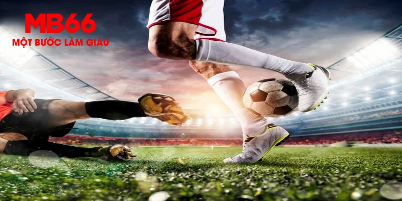 k899x trực tiếp đá gà thomo