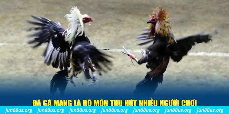 k899x nổ hủ nghĩa là gì