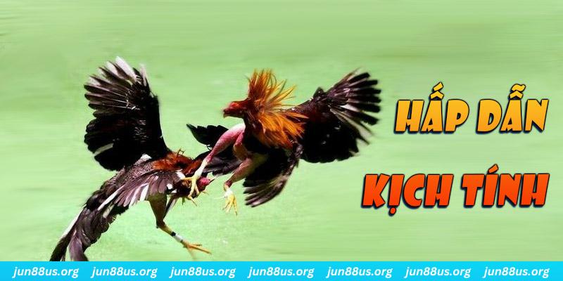 k899x đăng nhập roulette online