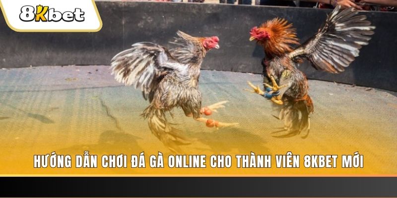 k899x JILI Game Bài 3d
