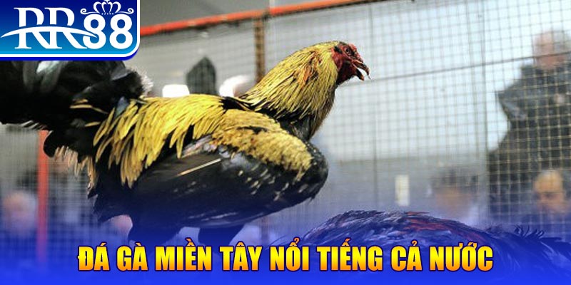 k899x xổ số đại phát