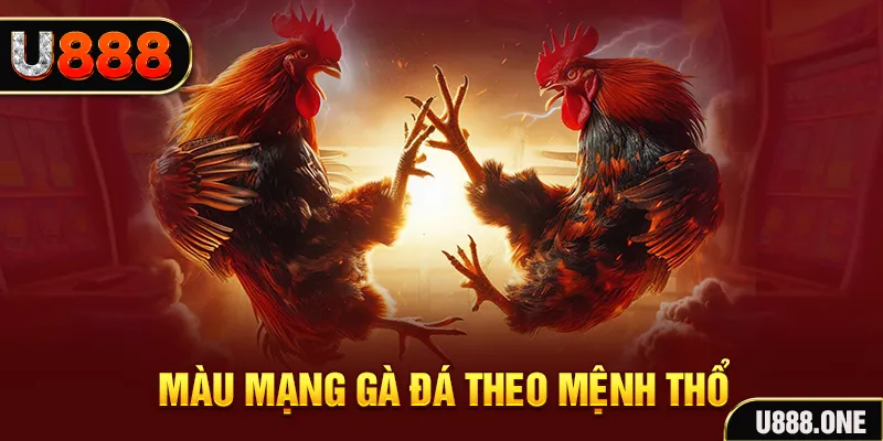 k899x ban ca xeng 2