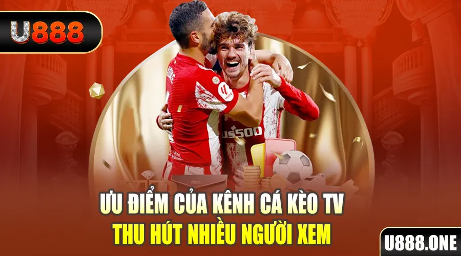 k899x gà chọi cu cần