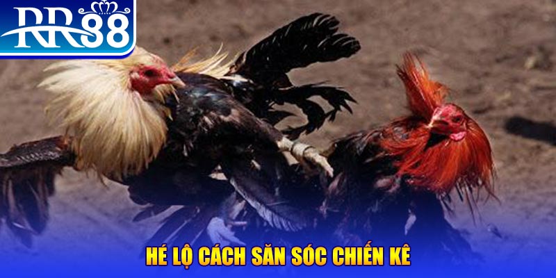 k899x xổ số miền trung thứ tư