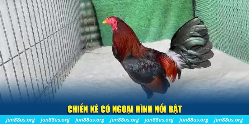 k899x game bắn cá