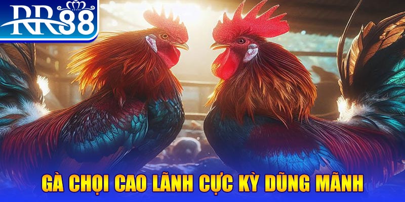 k899x HB Điện Tử
