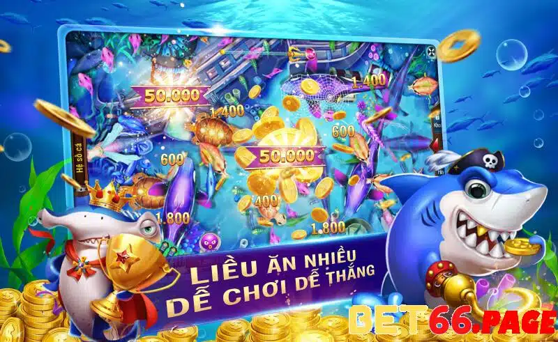 k899x 1 slot là gì