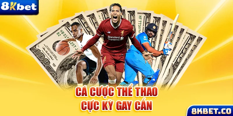 k899x xem đá gà trực tiếp